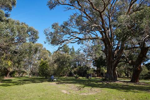 Somers Trail (part of the Western Port Bay Trail)
