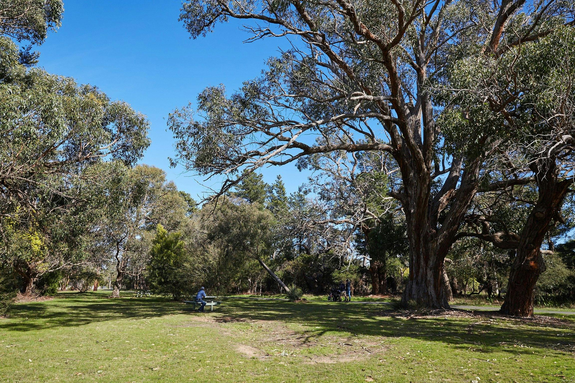 Somers Trail (part of the Western Port Bay Trail)