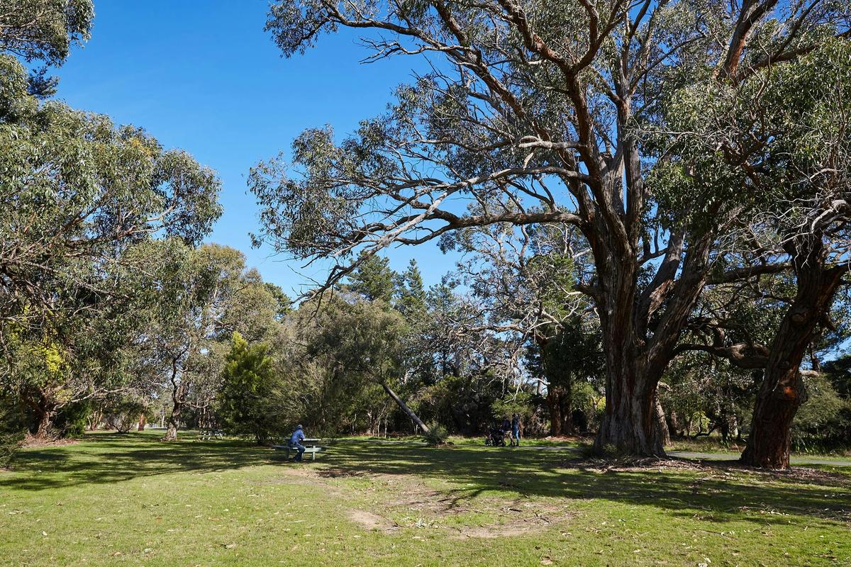 Somers Trail (part of the Western Port Bay Trail)