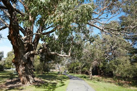 Somers Trail (part of the Western Port Bay Trail)