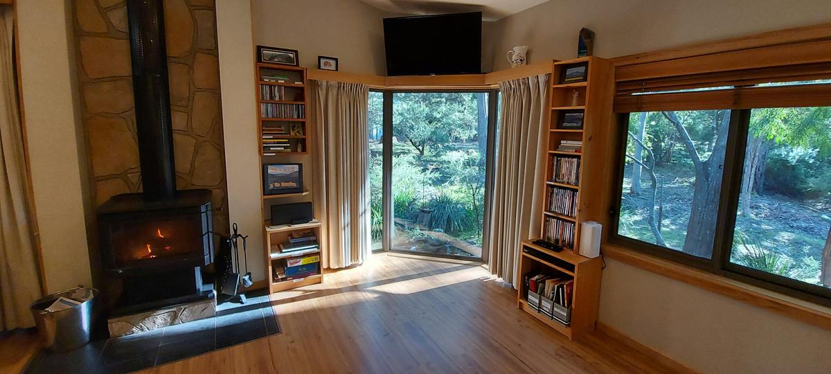 The view out the window over the seasonal creek