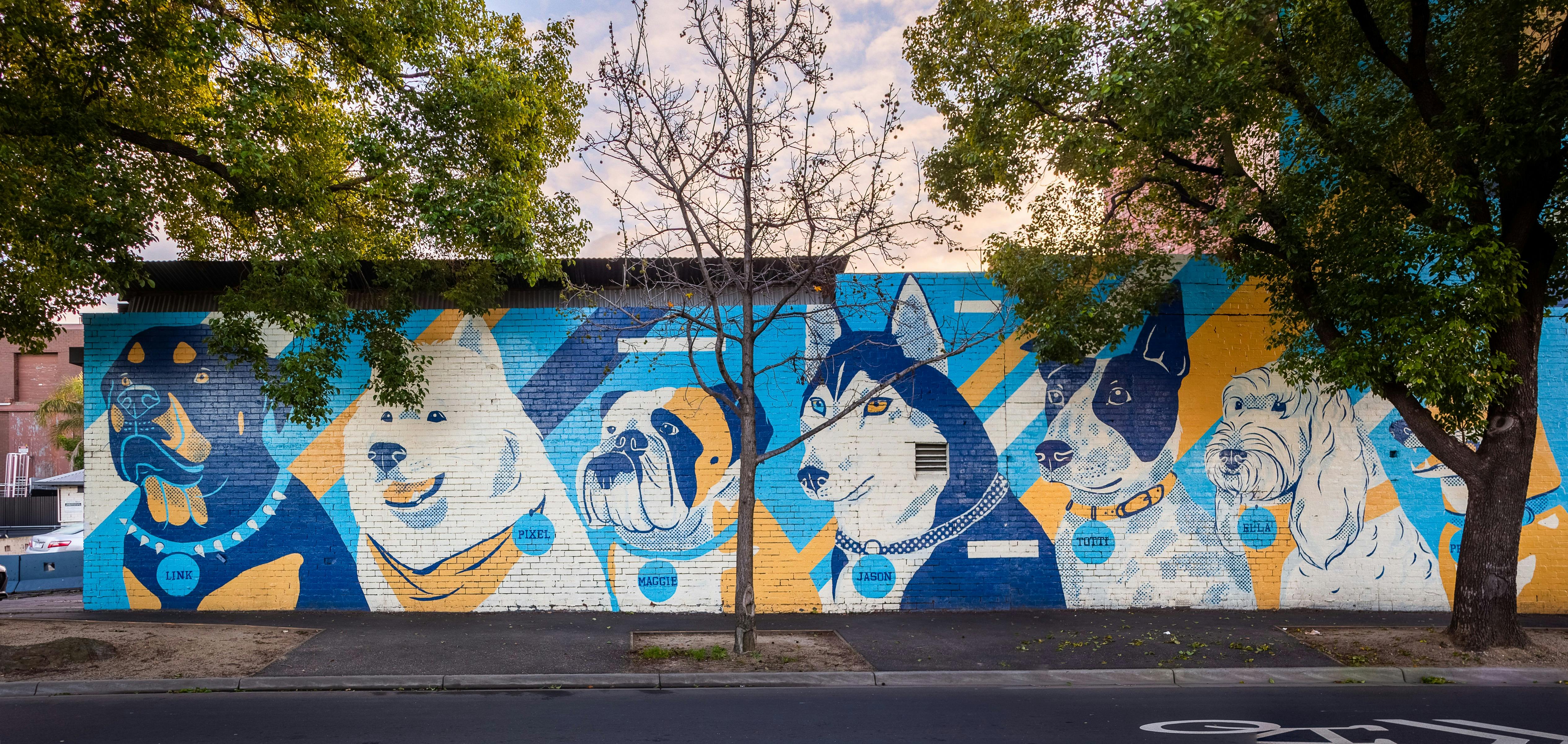 Dogs of the West by Justine McAllister