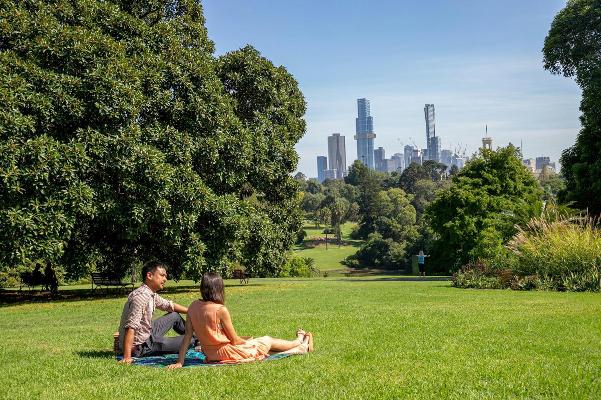 Picnic amongst greenery and skyline