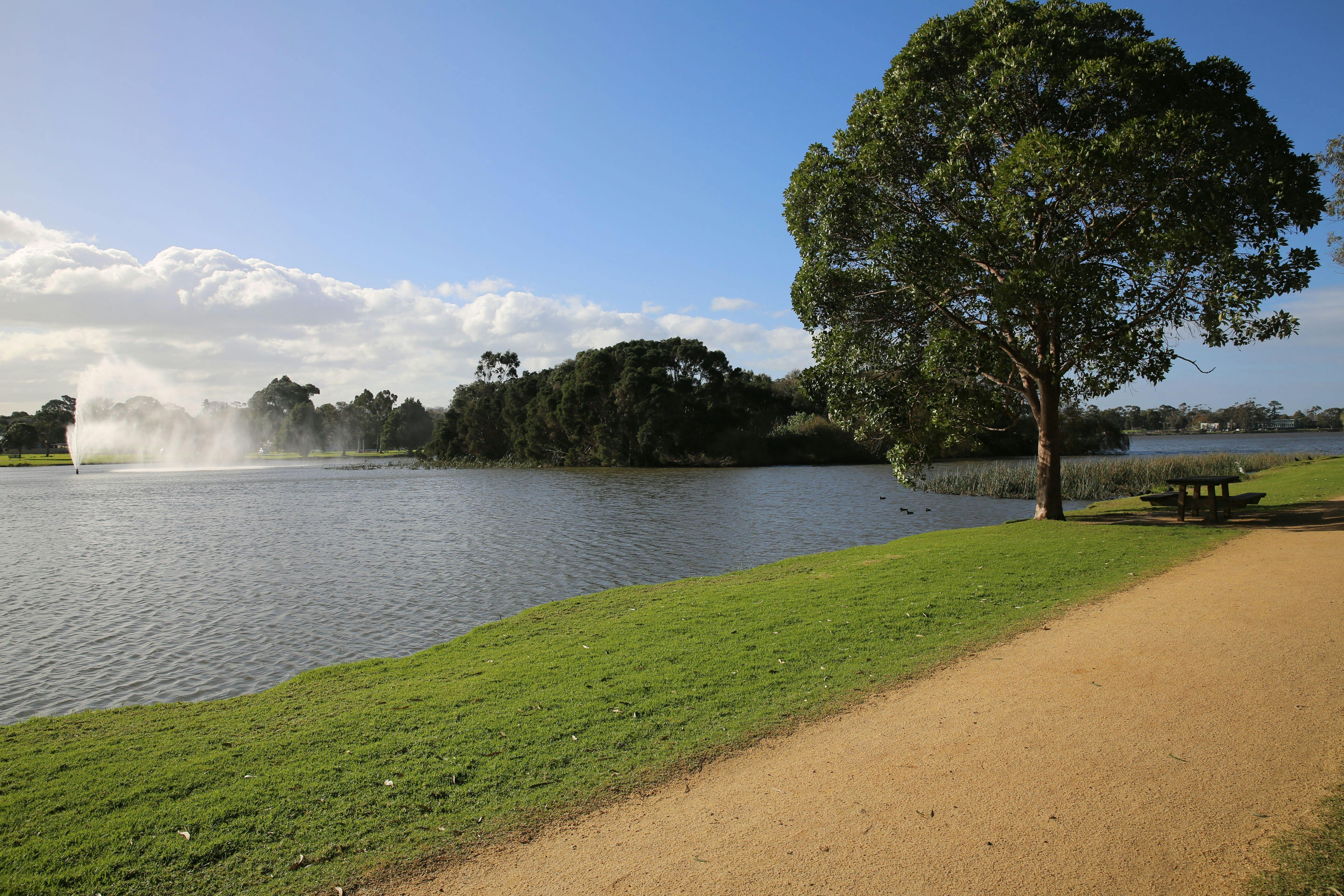 Lake Gutheridge on the Sale Common Wetlands Walk, Sale, Gippsland, Victoria, Australia