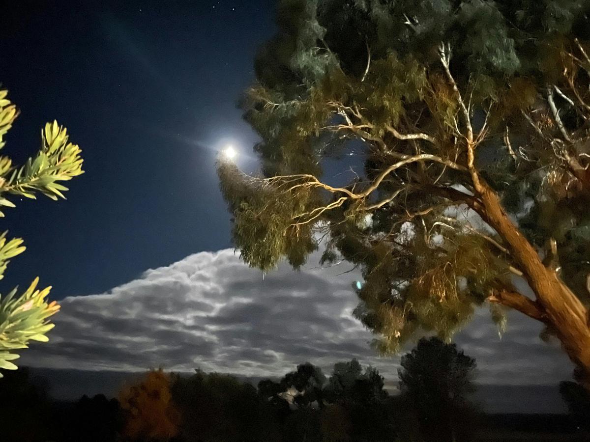 Dusk at Rutherford Park