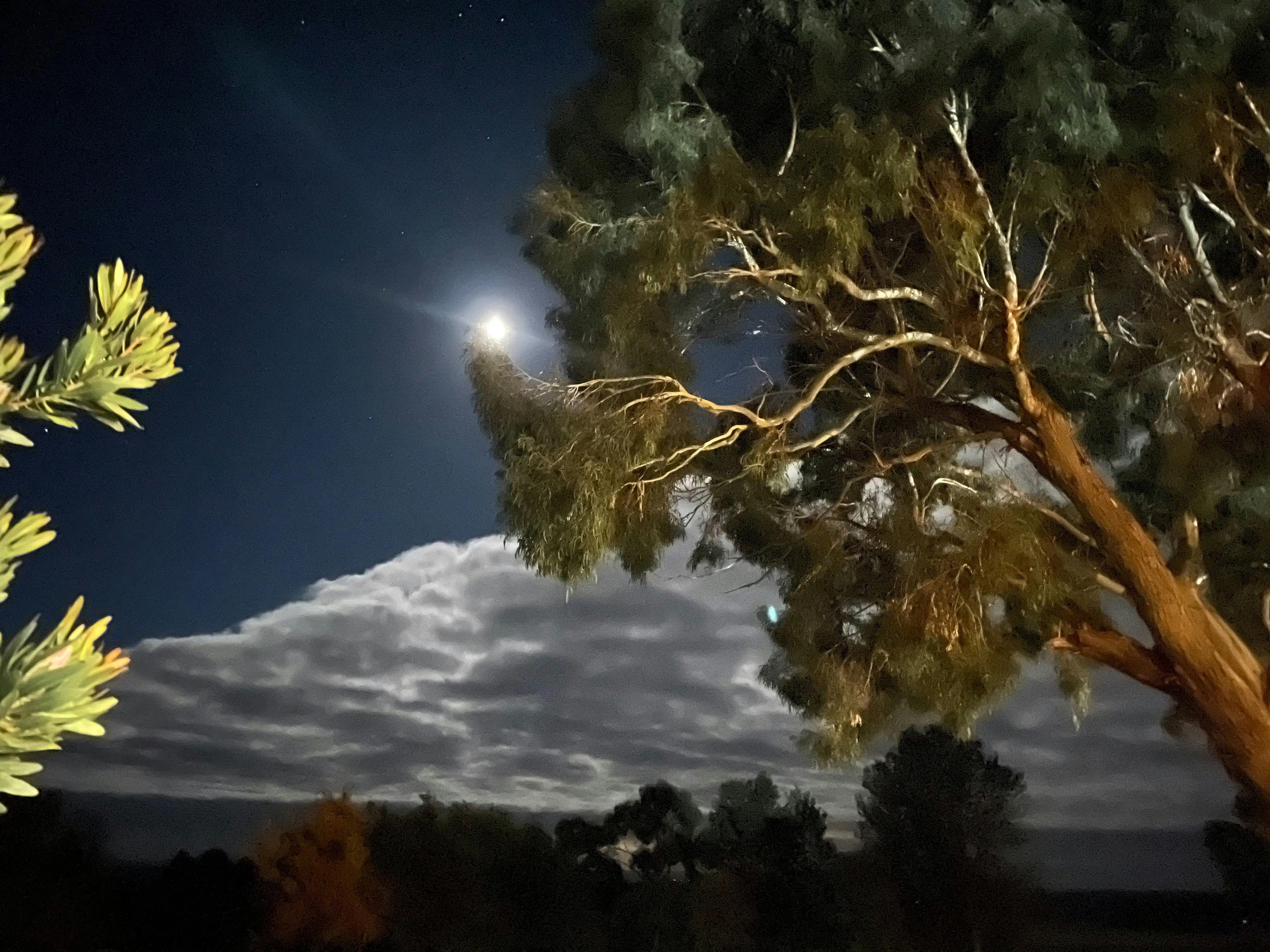 Dusk at Rutherford Park