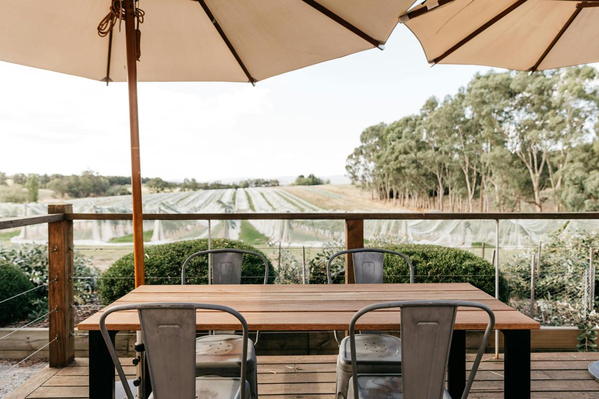 Cellar door deck