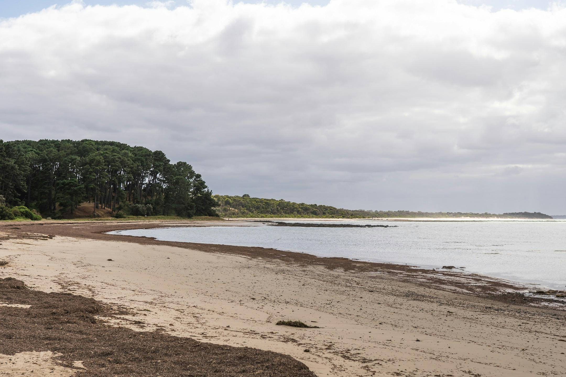 Shoreham Beach Shore