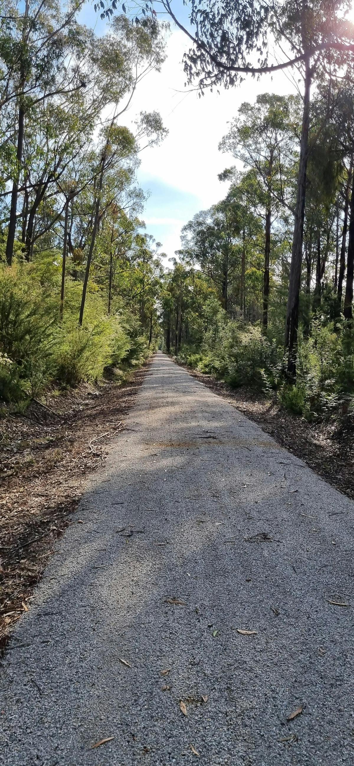 Snowy River Cycling