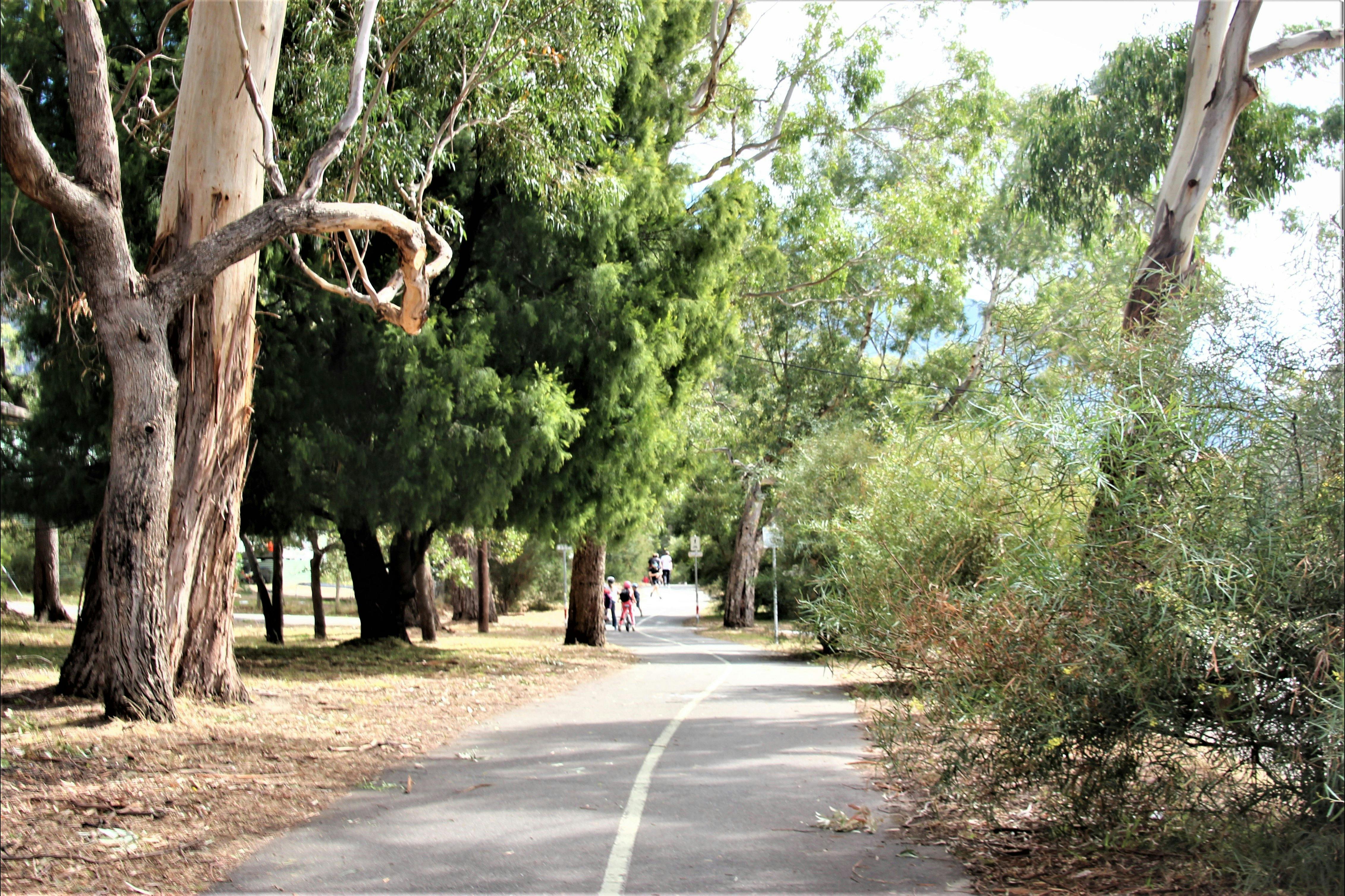 Walking track to Halls Gap shops and restaurant