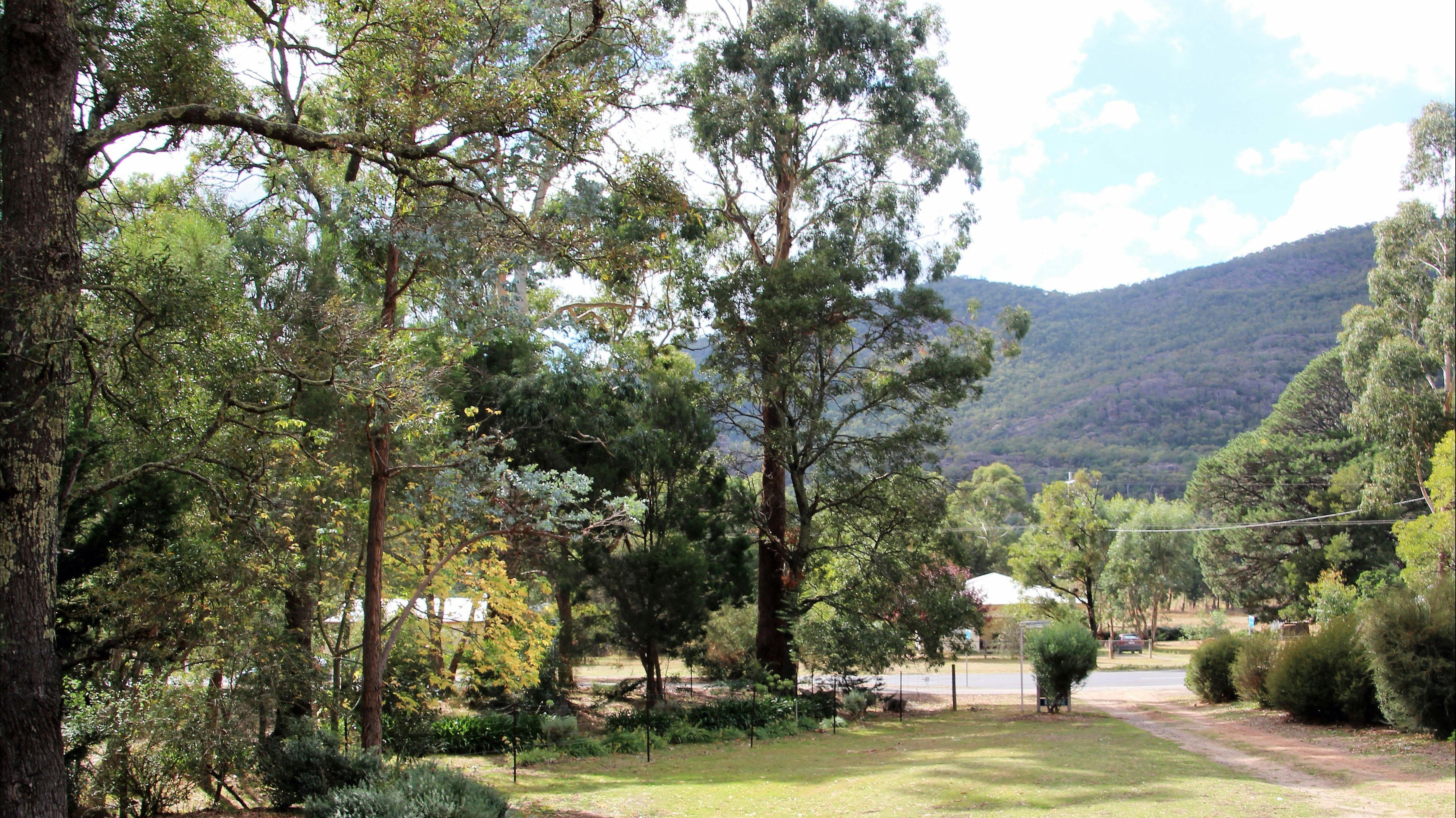 View from front verandah
