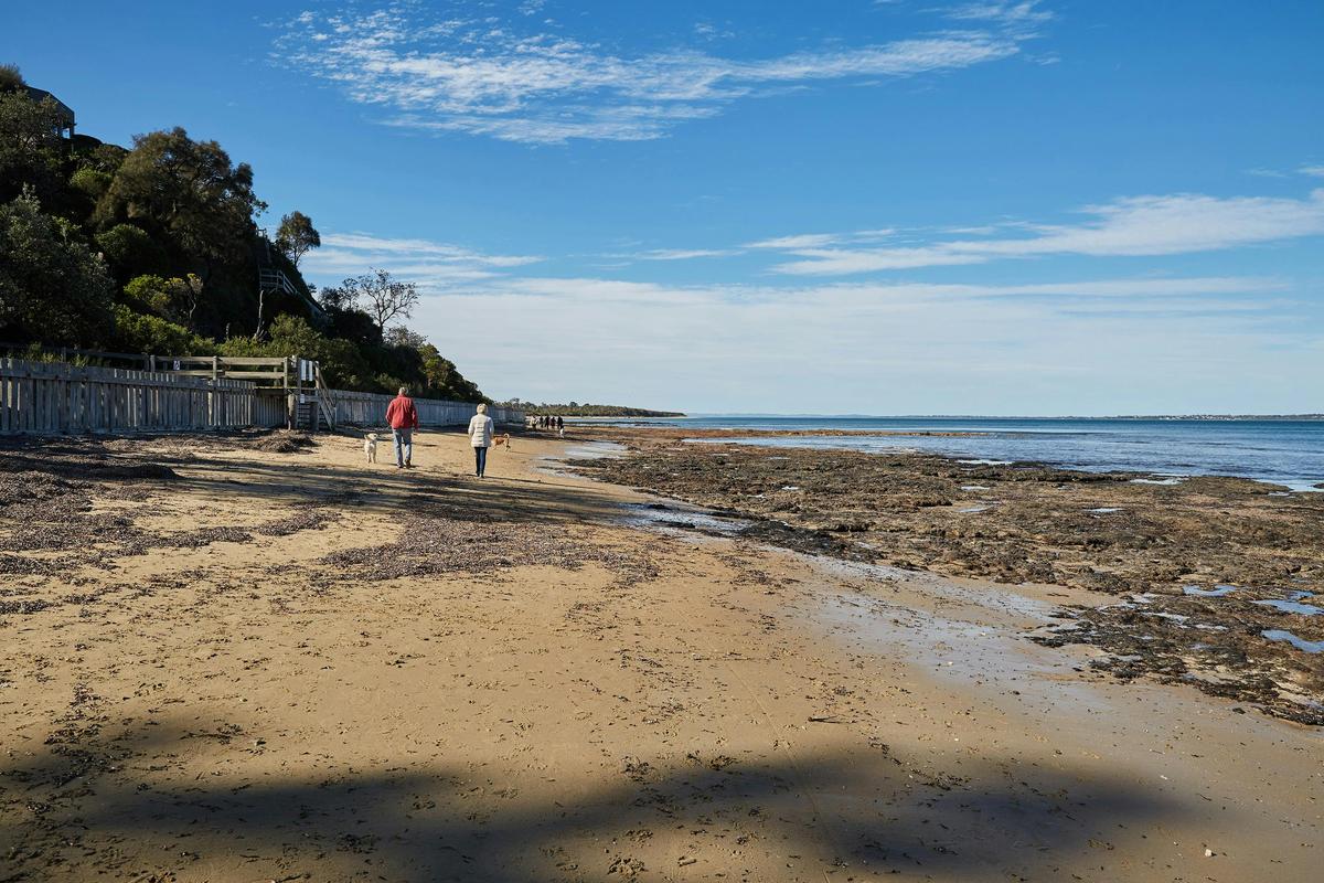 Somers Beach