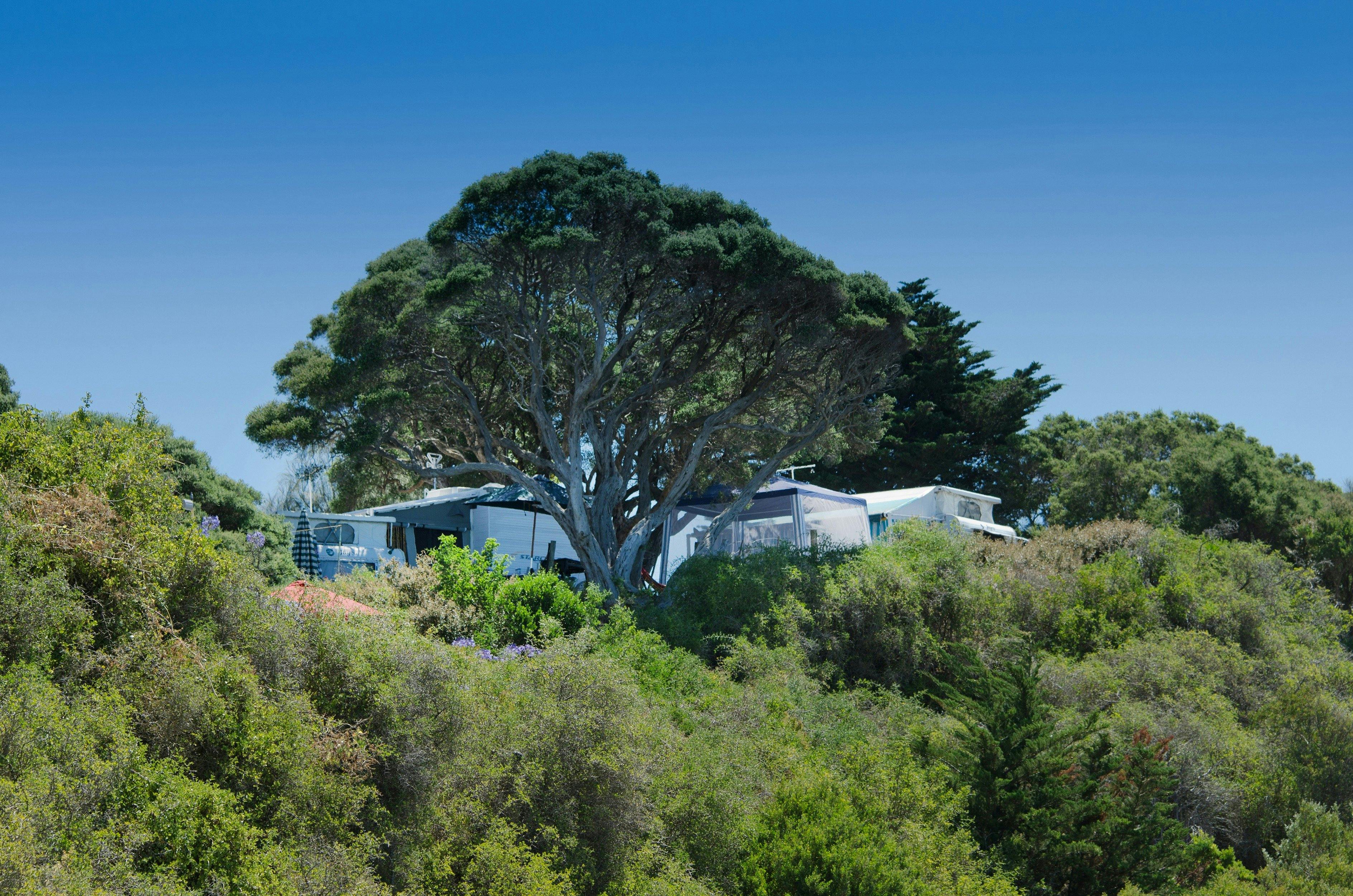Sorrento Foreshore Camping