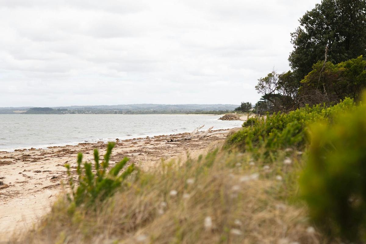 Somers Beach
