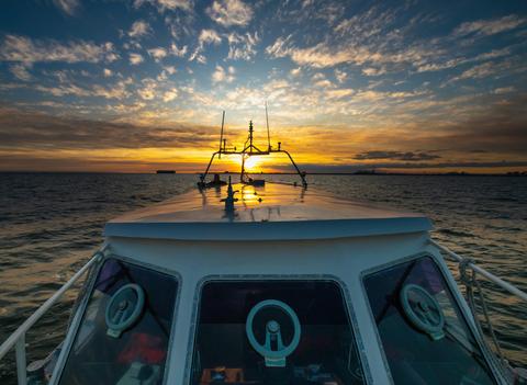 St Kilda Ferry Cruises