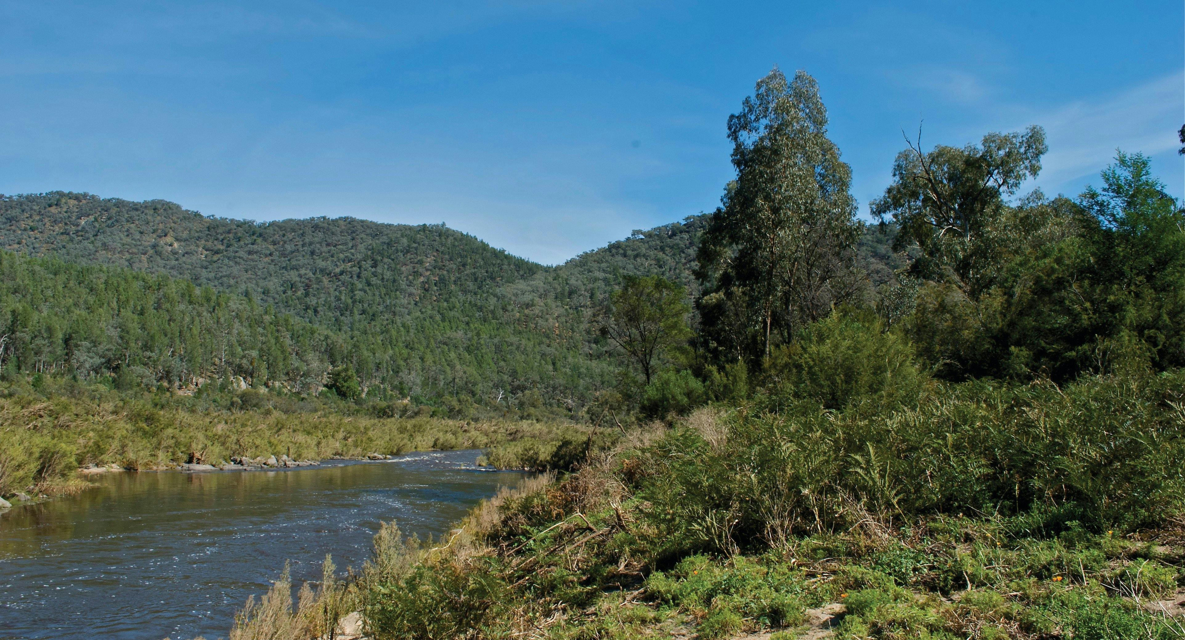 Snowy River National Park