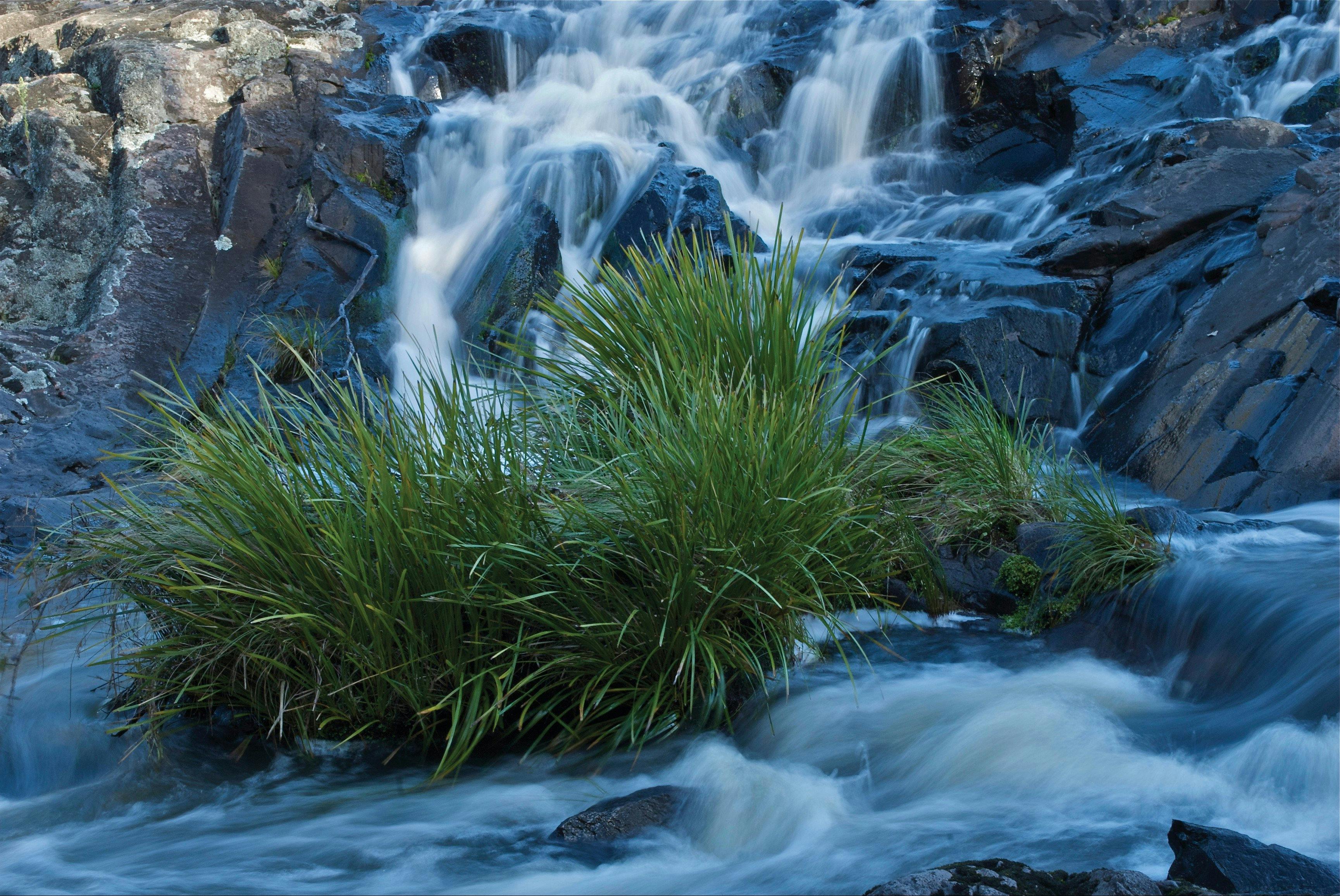 Snowy River National Park