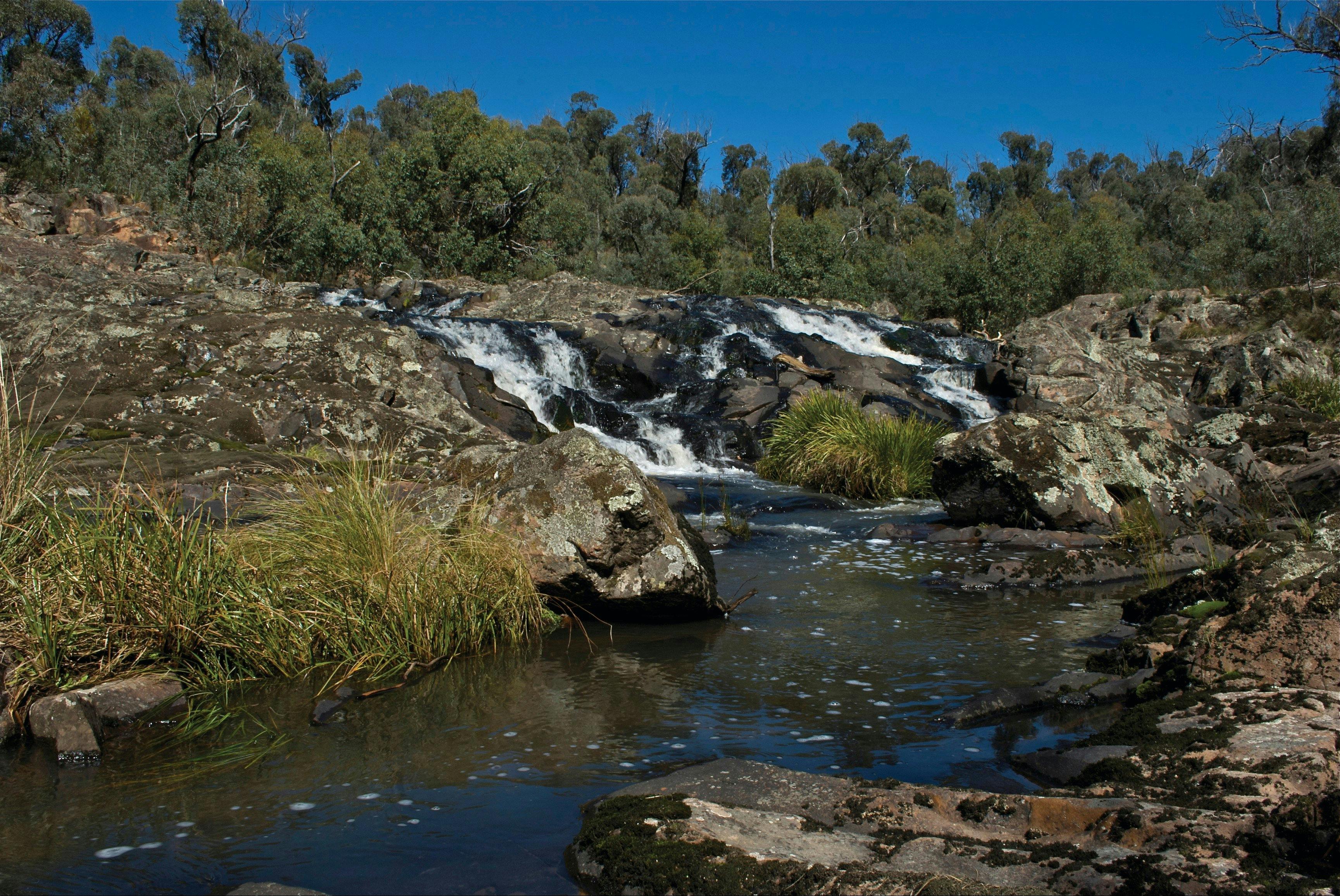 Snowy River National Park