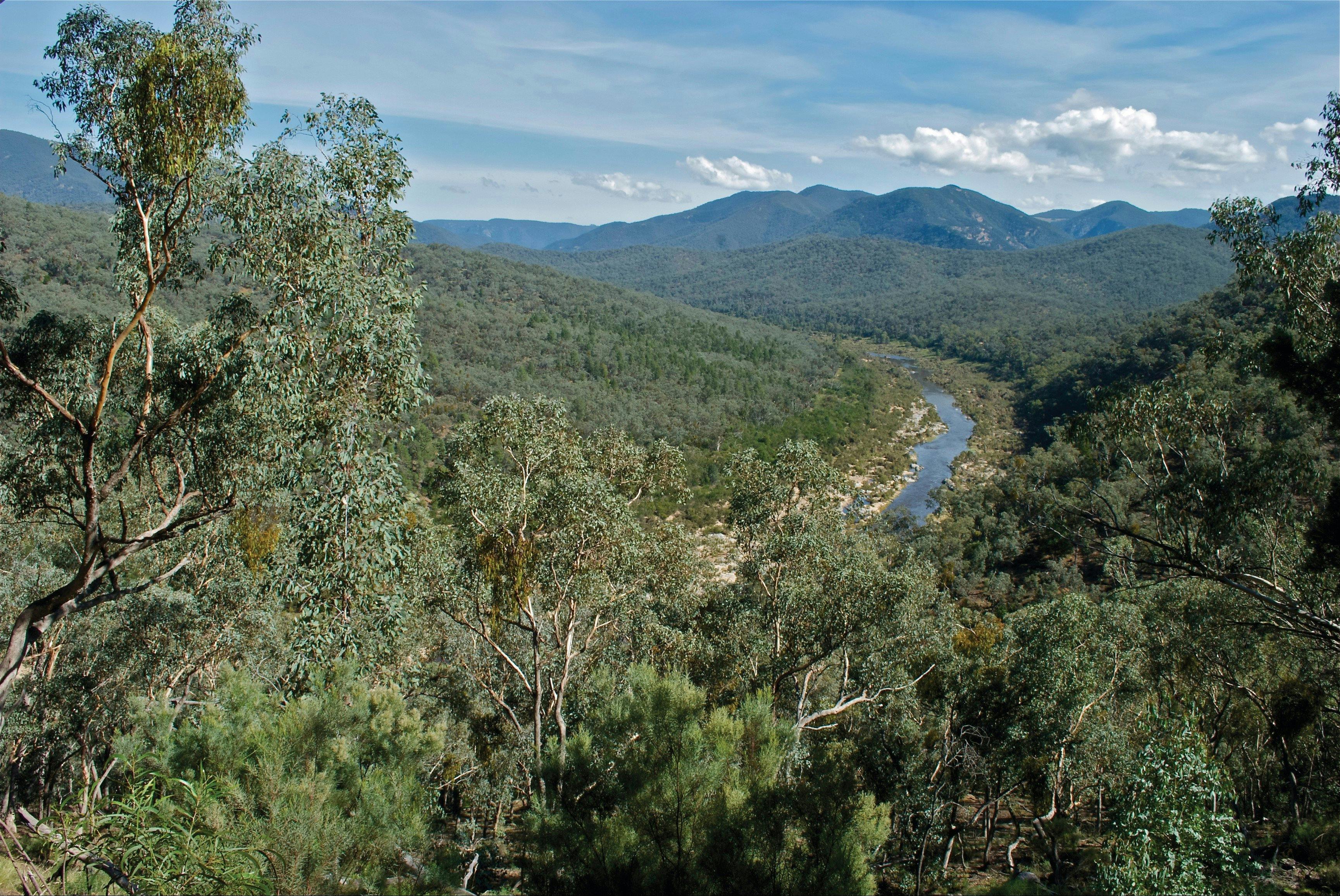 Snowy River National Park