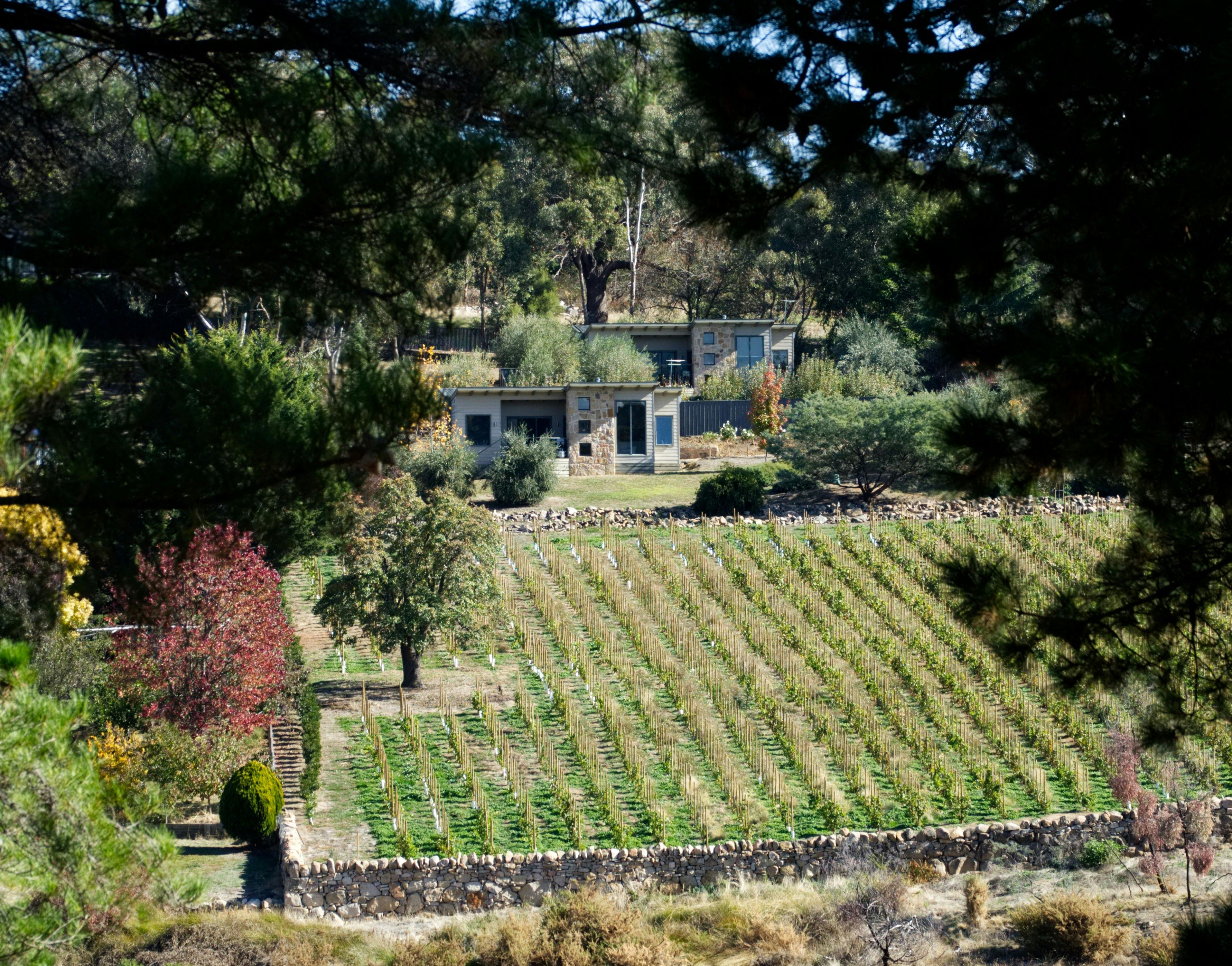 View of the villas from the Beechworth Gorge