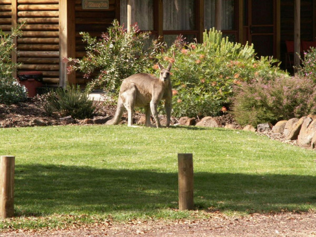 Southern Grampians Cottages