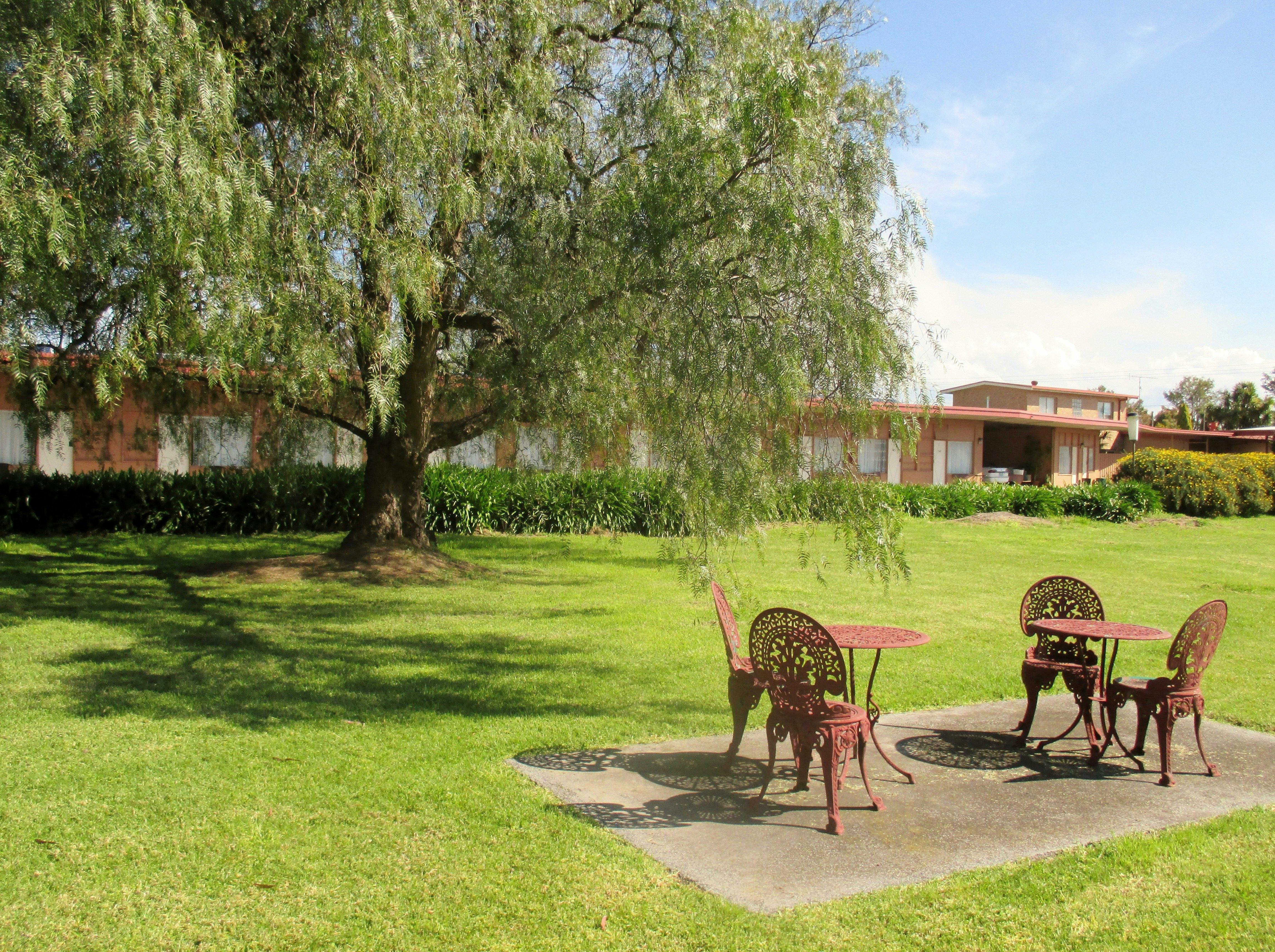 Spacious natural grounds