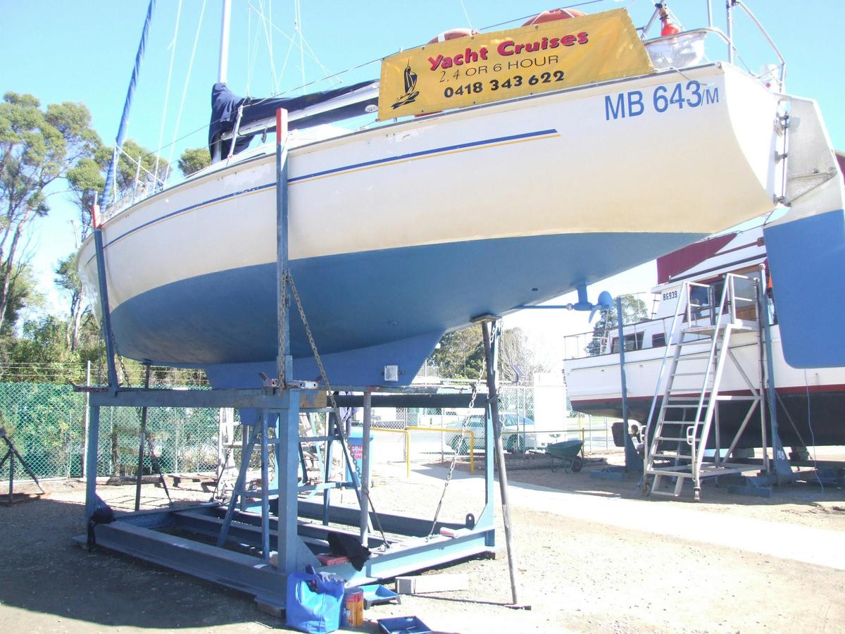 Calypso new paint