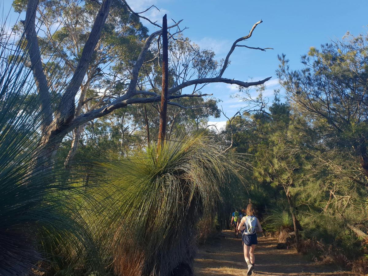 Stefanie Rennick Walk (Two Bays Walking Track) edit