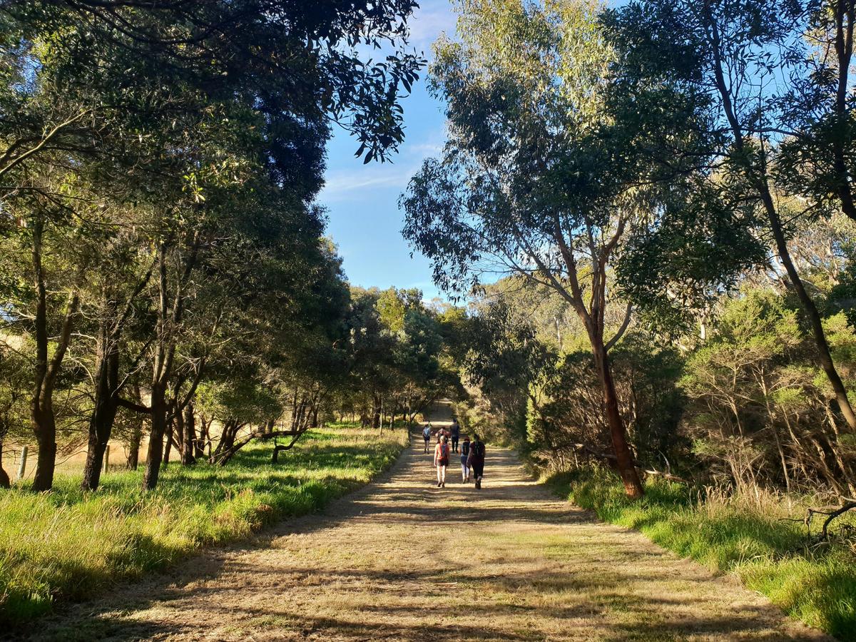Stefanie Rennick Walk (Two Bays Walking Track) edit
