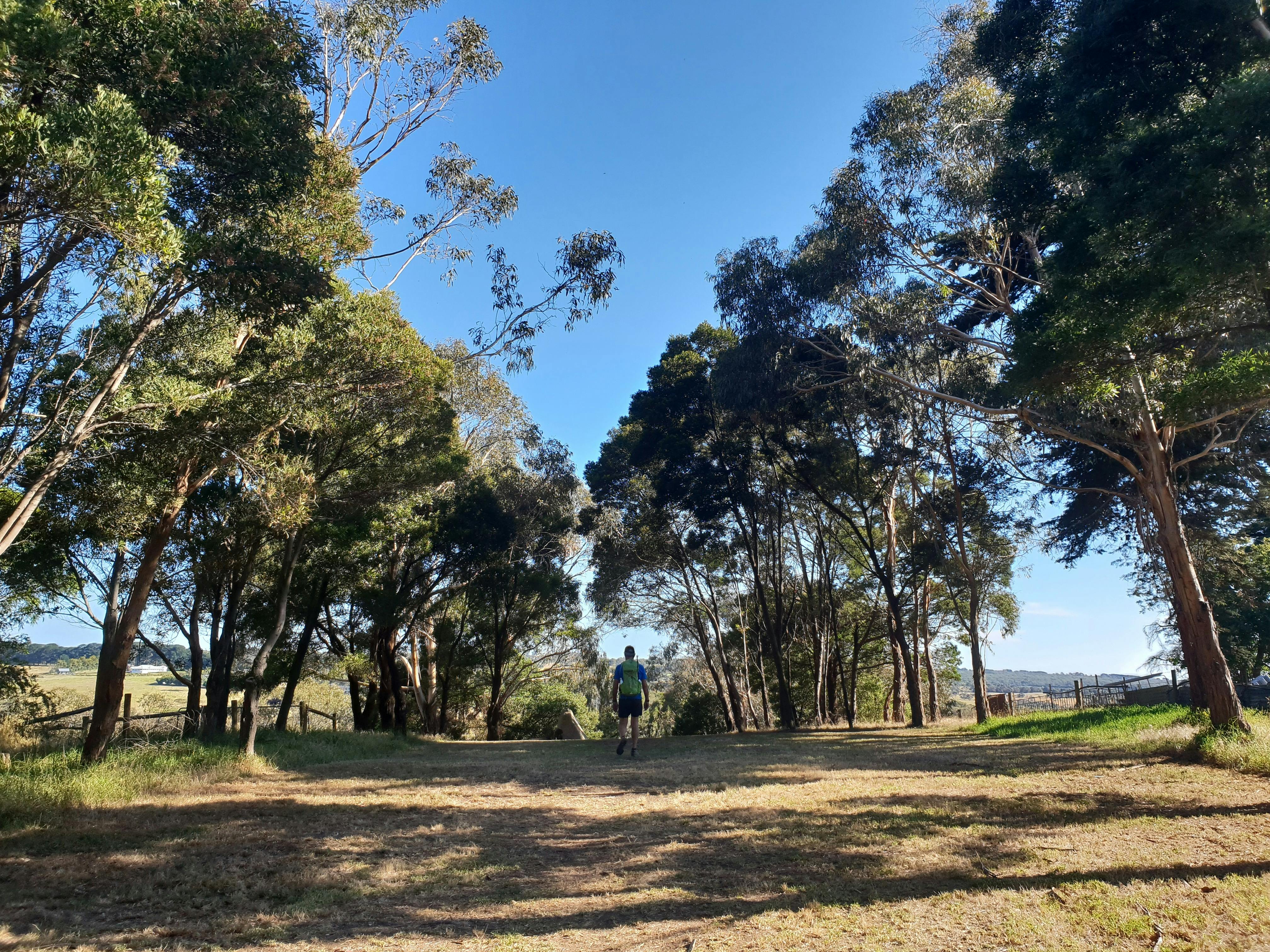 Stefanie Rennick Walk (Two Bays Walking Track) edit