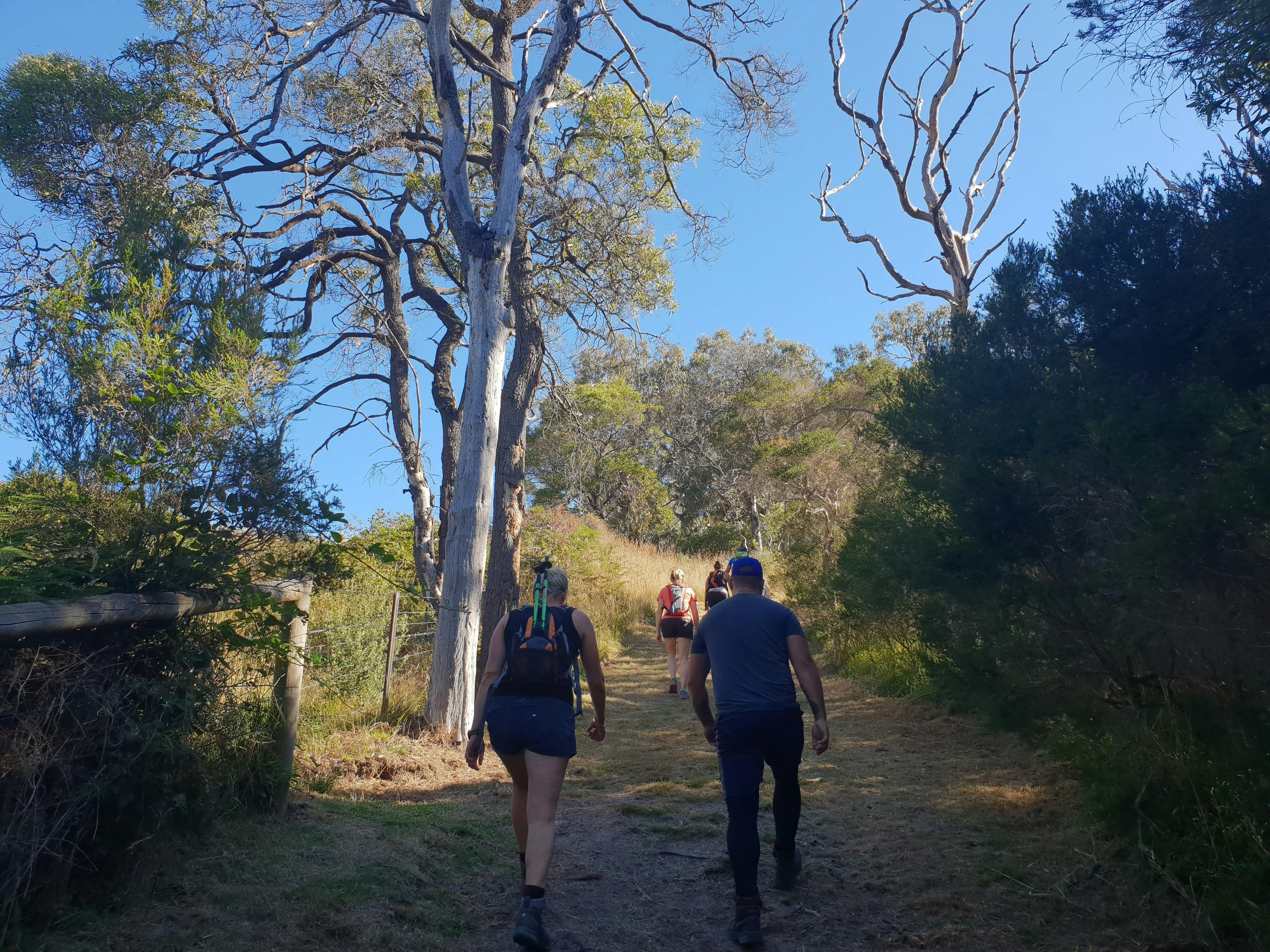 Stefanie Rennick Walk (Two Bays Walking Track) edit