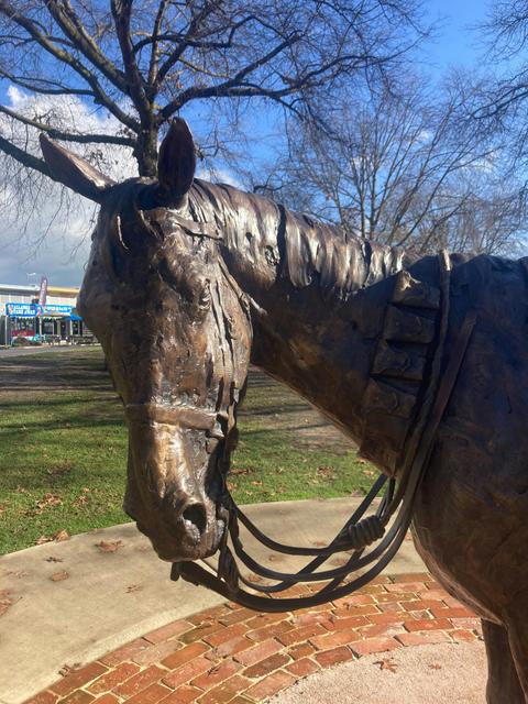Sandy the War Horse