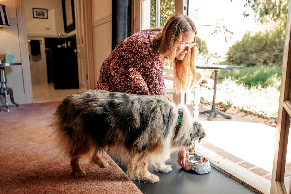 Dog-Friendly Country Luxe Stay