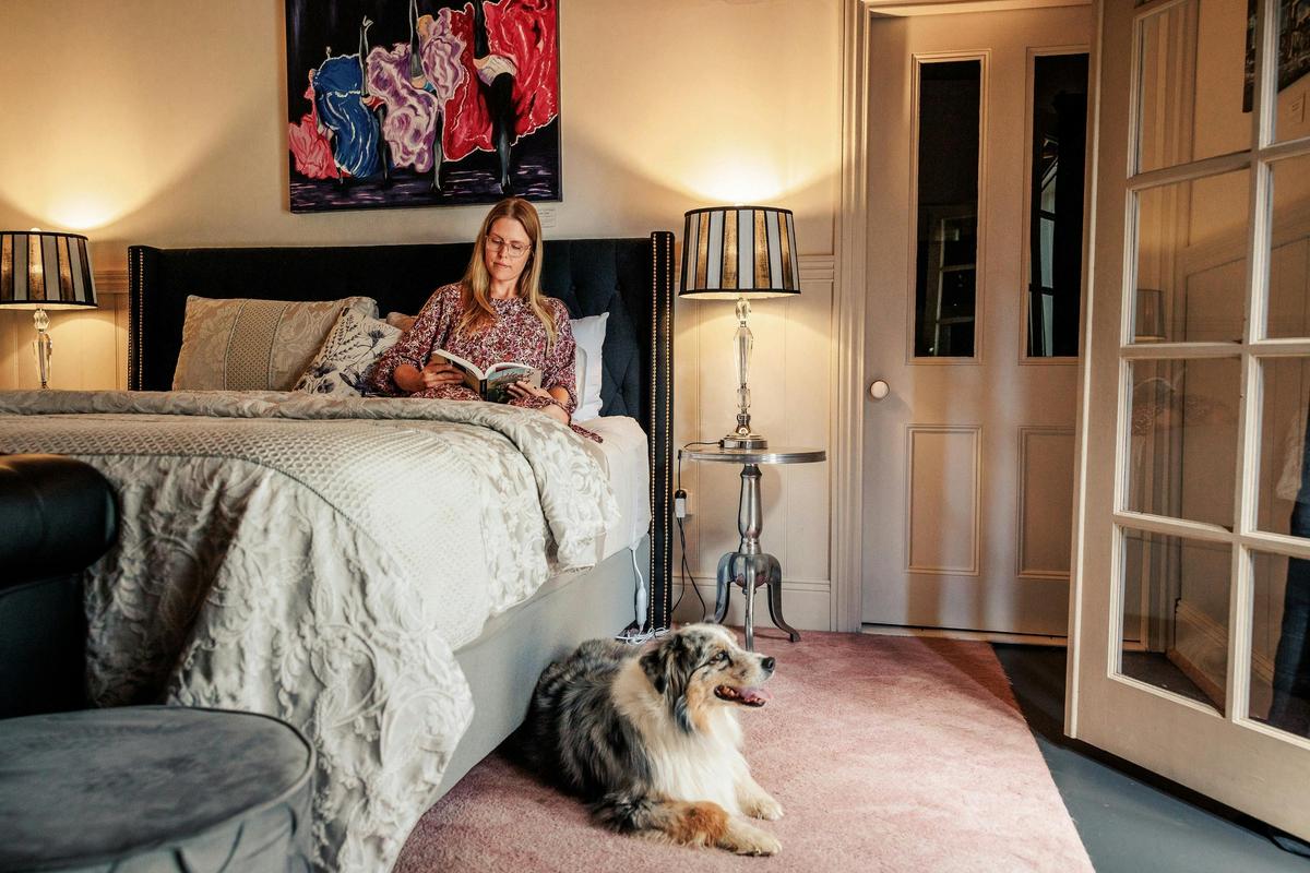 Dog friendly accommodation suite