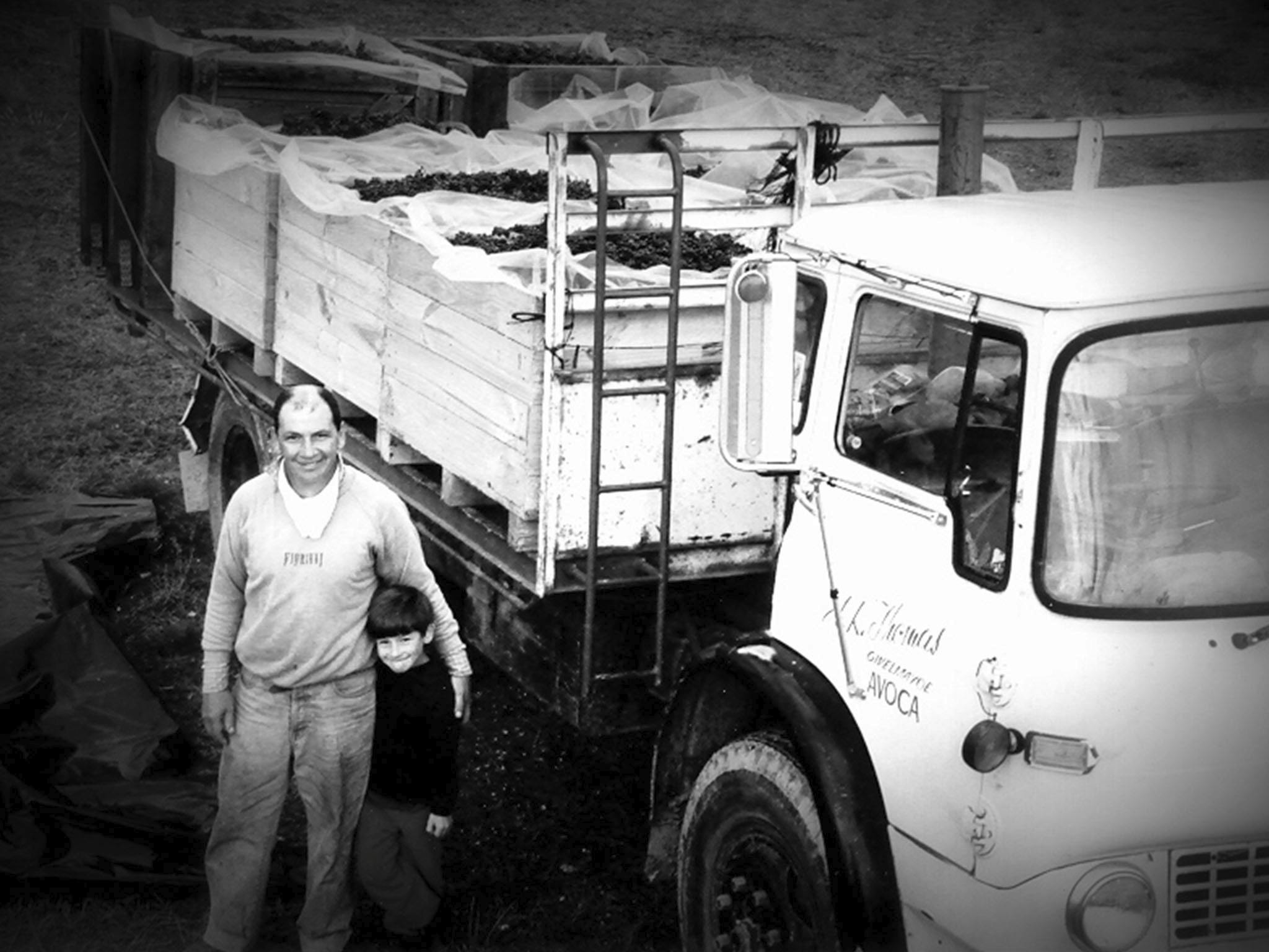 Father and son next to track loaded with crates full of grapes