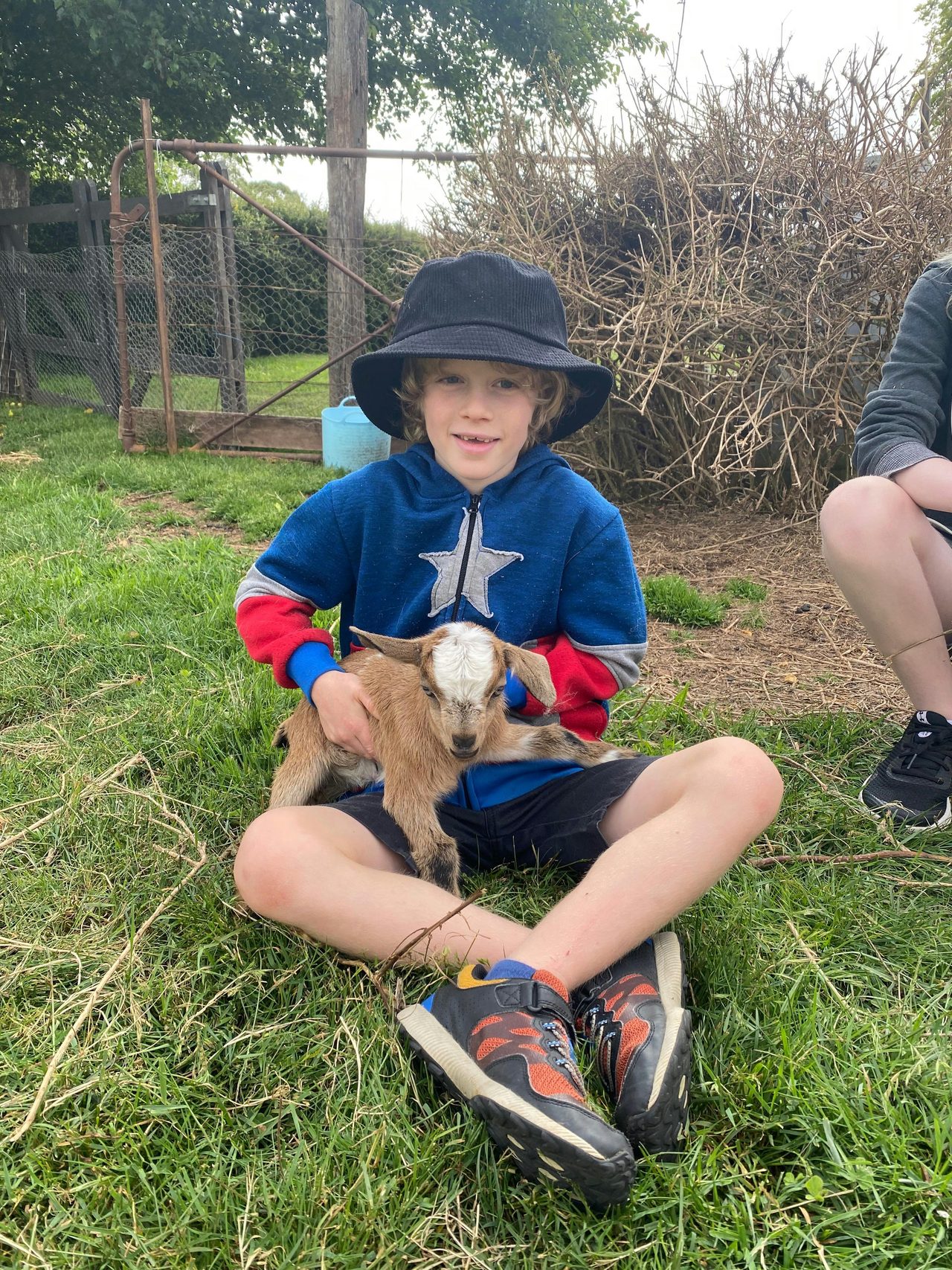 Officially hired: Chief Cuddles Officer 🐐💼 This baby goat’s going nowhere without her new best mat