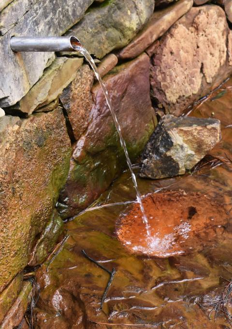 Spargo Creek Mineral Springs