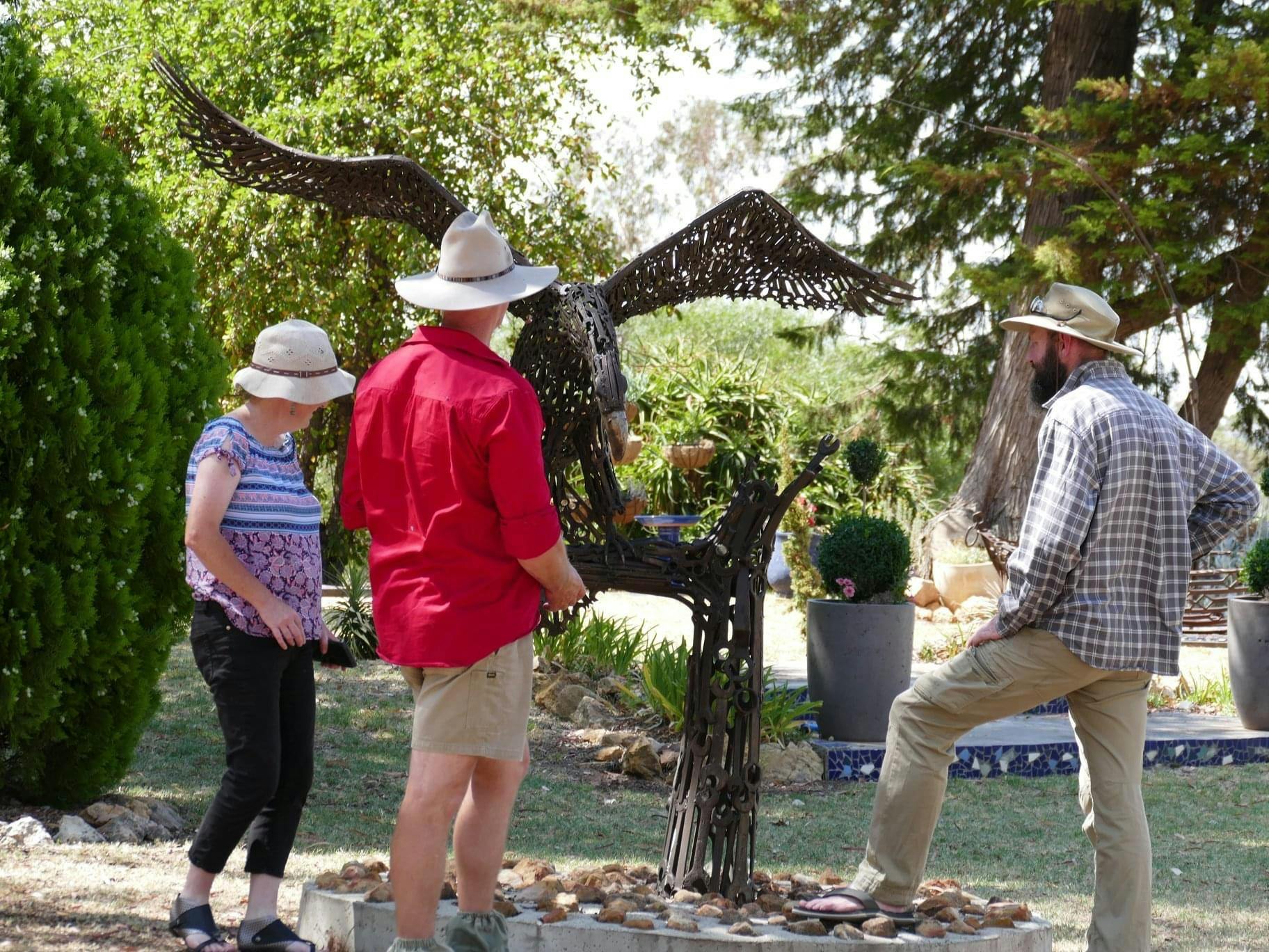 Viewing the Wedge tail Eagle