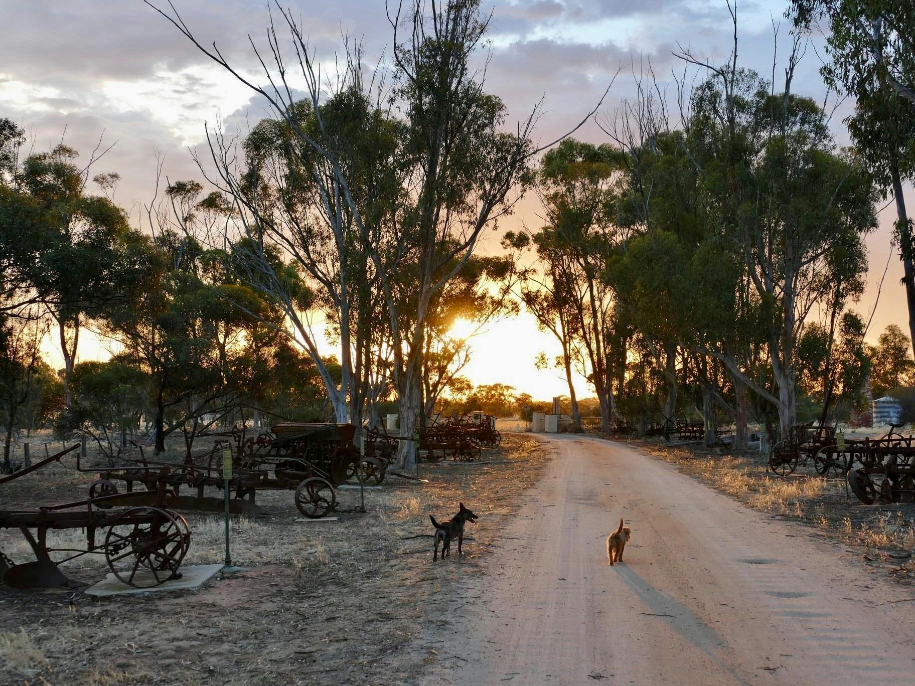 Front driveway on sunset