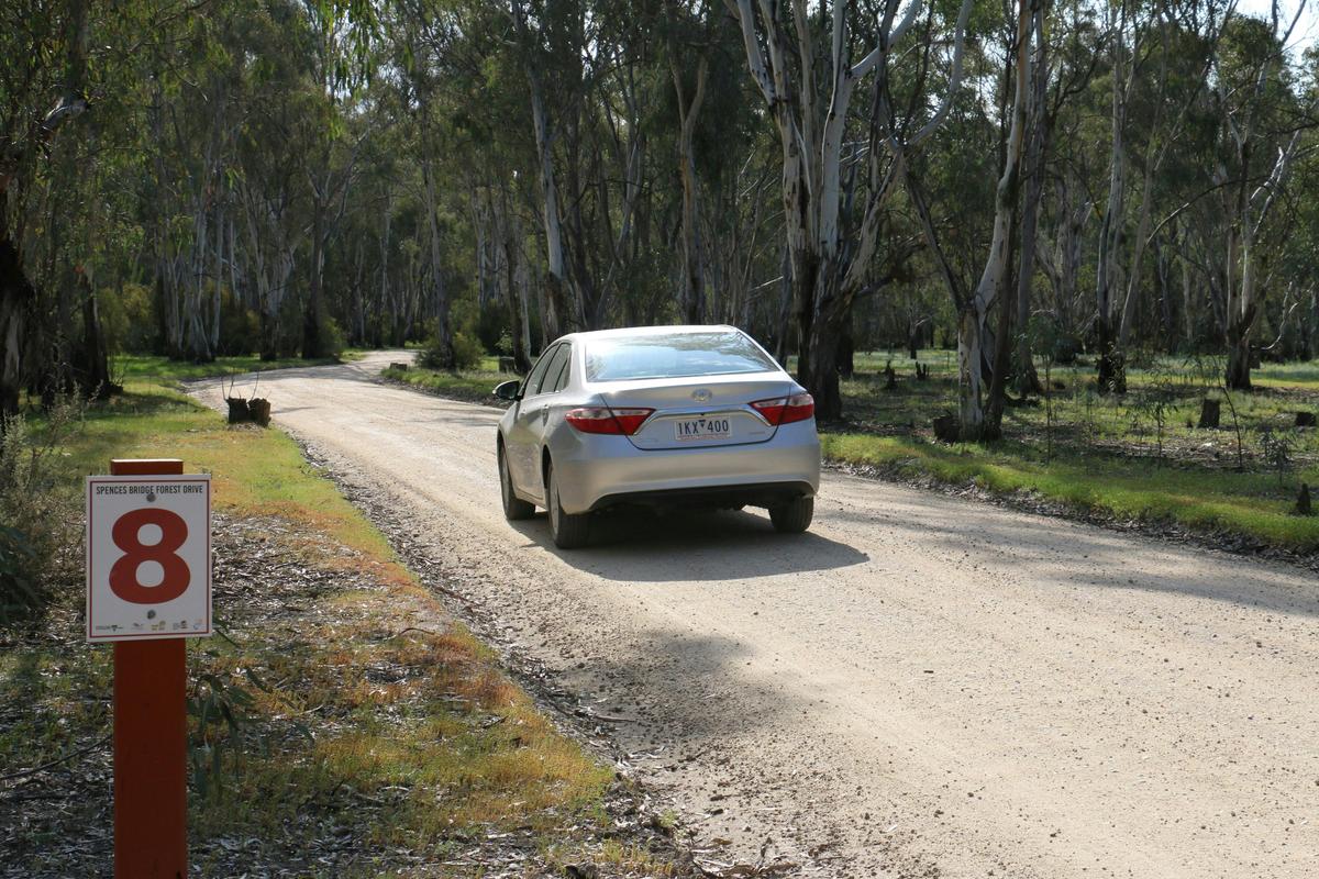 Markers help guide you on the forest drive