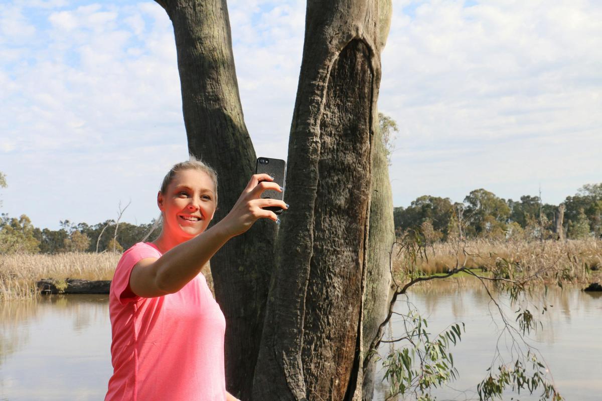 Grab a selfie on the forest drive historic indigenous sites