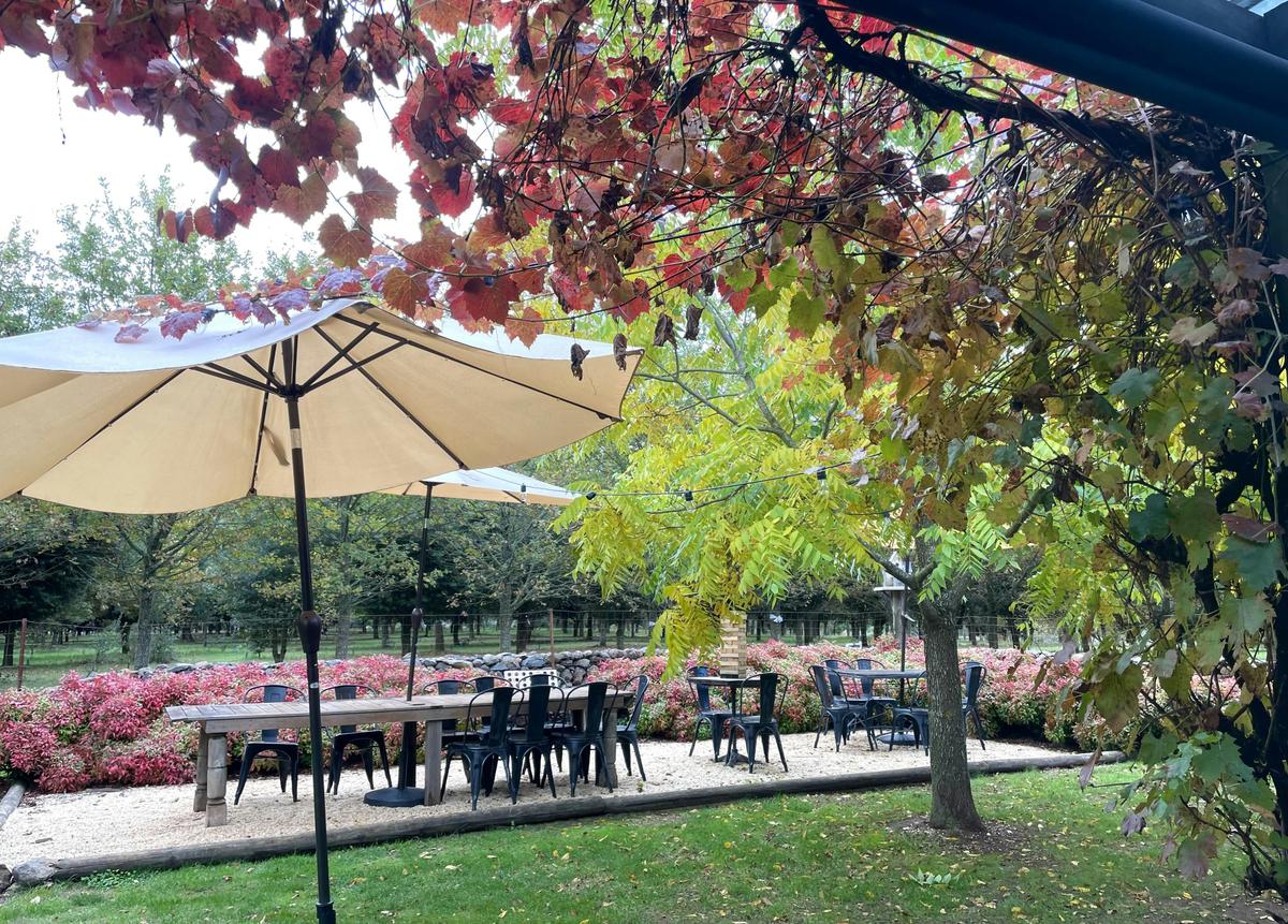 Black Cat Truffles_Silver Mink Tours