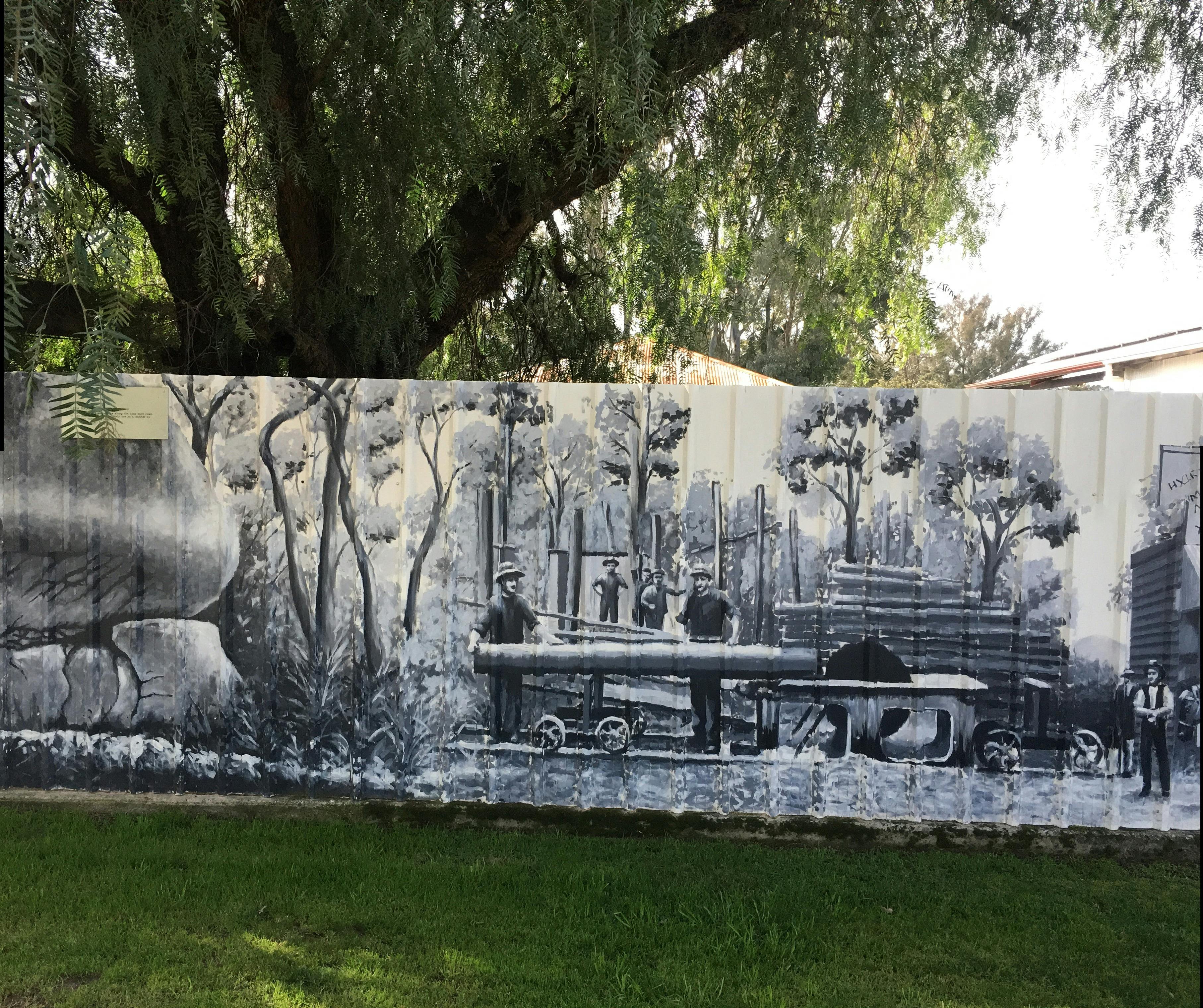 Swanpool Heritage Murals