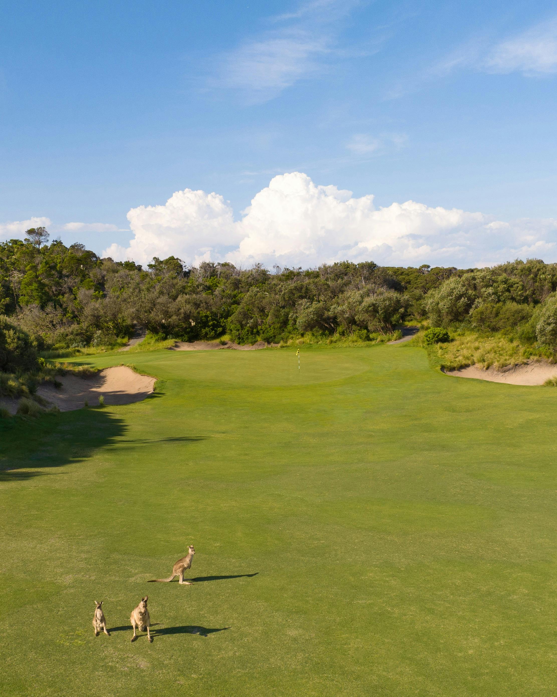 St Andrews Beach Golf Course