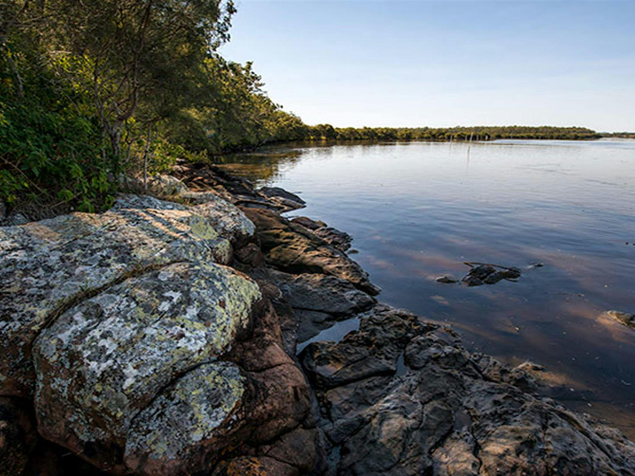 Little Mountain Campground, Karuah National Park. Photo: John Spencer/NSW Government