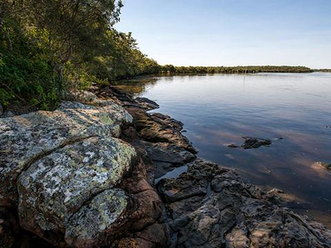 Karuah National Park