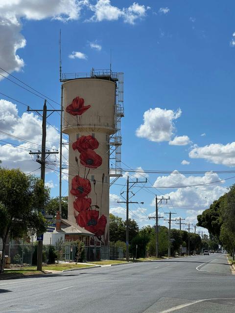 Tatura Water Tower Art
