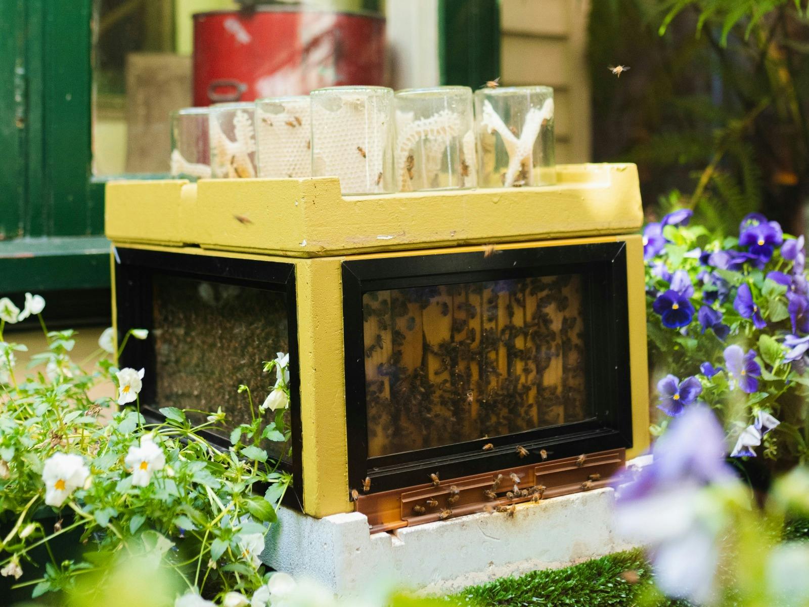 The Beechworth Honey Shop