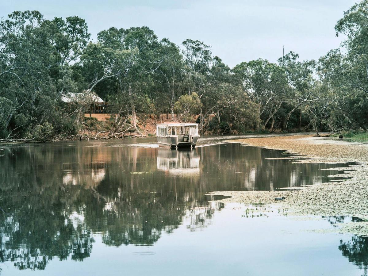 Eco Boat rides from Tahbilk Estate Restaurant