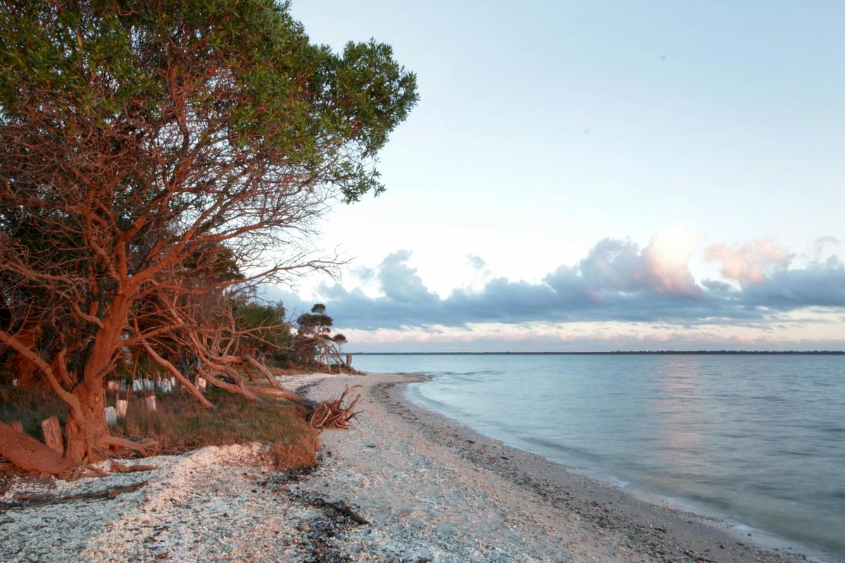 Water Views at sunset